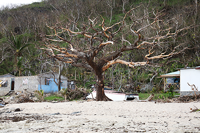 Cyclone Winston : Fiji : 2016 : News : Photos : Richard Moore : Photographer